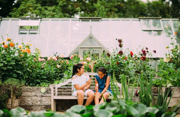 The Village Garden